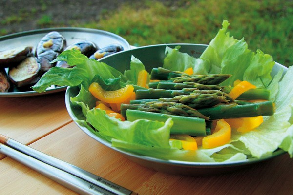 スノーピーク snow peak SPテーブルウェア ディッシュ TW-032