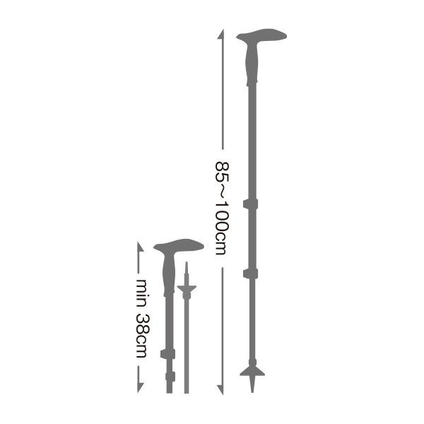 レキ LEKI レジェンドシリーズ マイクロ ブラック 1本 1300421-190