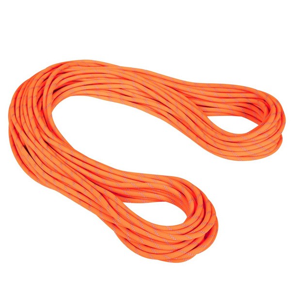 マムート 9.5 Alpine Dry Rope Dry Standard セーフティオレンジ/ゼン 50m 2010-04220-11256