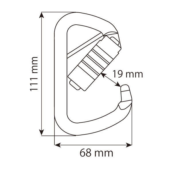 カンプ CAMP ANSI D 3ロック Pin 250g 5310600