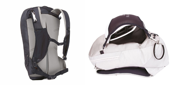 ブルーアイス Blue Ice タカ