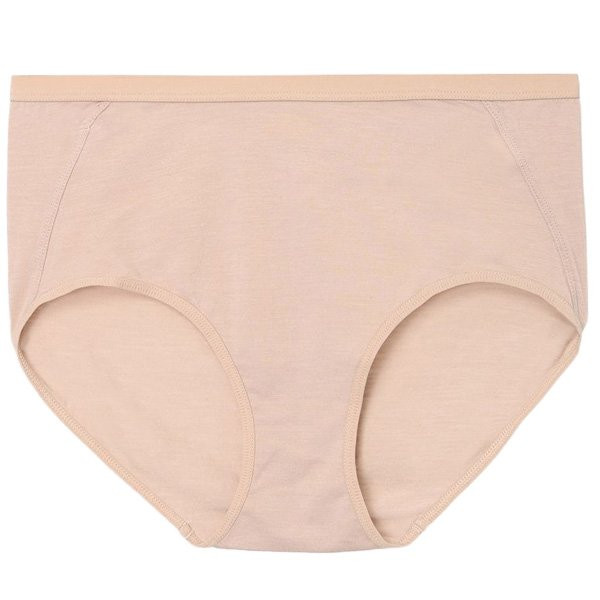 アイスブレーカー メリノ 150 サイレン ハイライズショーツ プラリネ インポートMサイズ（日本L）IB0A57DA-47