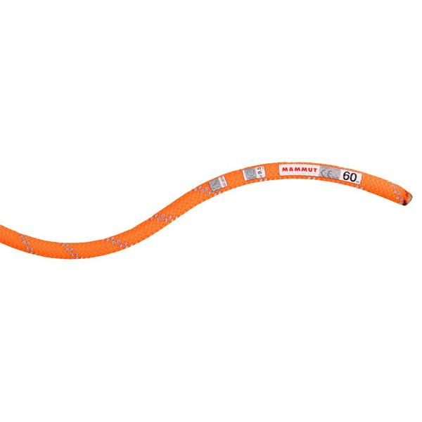 マムート 9.5 Alpine Dry Rope Dry Standard セーフティオレンジ／ゼン 50m 2010-04220-11256