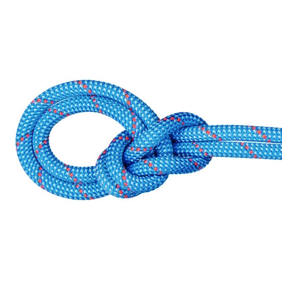 マムート MAMMUT 9.8 Crag Classic Rope Classic Standard アイスミント／ホワイト 60m 2010-04270-01283