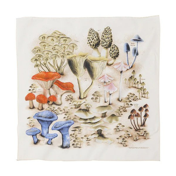 プリンテッドイメージ Printed Image ネイチャープリントバンダナ マッシュルーム 11180001000056