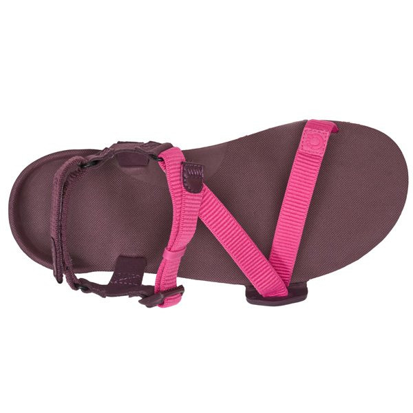 ゼロシューズ Xero Shoes ウィメンズ ZトレイルEV フューシャ パープル W7 24cm TTW-FSPU
