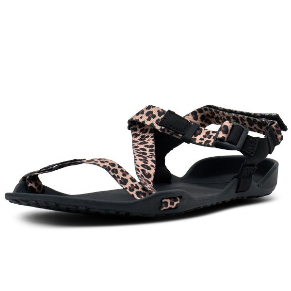 ゼロシューズ Xero Shoes ウィメンズ Z-トレック 2 レオパード W8 25cm ZKW-LEPD