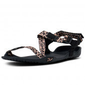 ゼロシューズ Xero Shoes ウィメンズ Z-トレック レオパード W6 23cm ZKW-LEPD
