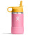 ハイドロフラスク HydroFlask 12oz 354ml ワイドマウス Wide Mouth キッズ ダリア 8901750149251