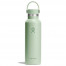 ハイドロフラスク HydroFlask 21oz 621ml スタンダードマウス アロエ 8900120146251