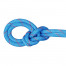 マムート MAMMUT 9.8 Crag Classic Rope Classic Standard アイスミント／ホワイト 60m 2010-04270-01283